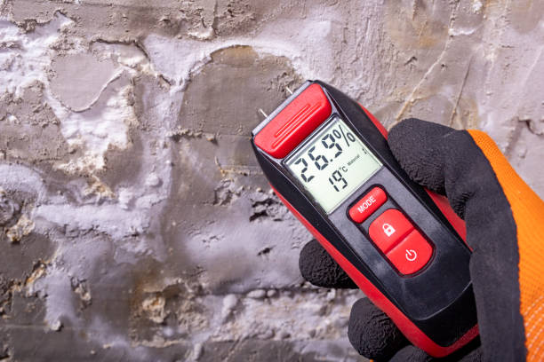 Best Mold Removal Specialists  in Deerfield, IL