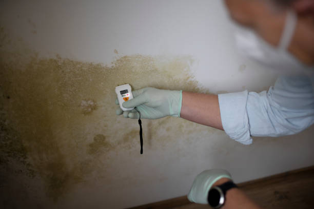Best Mold Testing  in Deerfield, IL